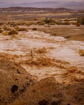 שיטפון בערבה, ארכיון | דוד כהן, פלאש 90 שיטפון בערבה, ארכיון | דוד כהן, פלאש 90