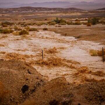 שיטפון בערבה, ארכיון | דוד כהן, פלאש 90
