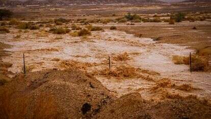 שיטפון בערבה, ארכיון | דוד כהן, פלאש 90 שיטפון בערבה, ארכיון | דוד כהן, פלאש 90