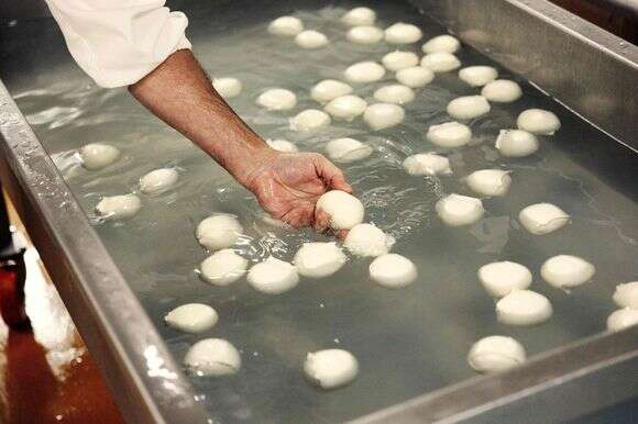 גבינת מוצרלה | AFP