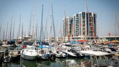 המרינה בהרצליה. אילוסטרציה | נתי שוחט / פלאש 90 המרינה בהרצליה. אילוסטרציה | נתי שוחט / פלאש 90