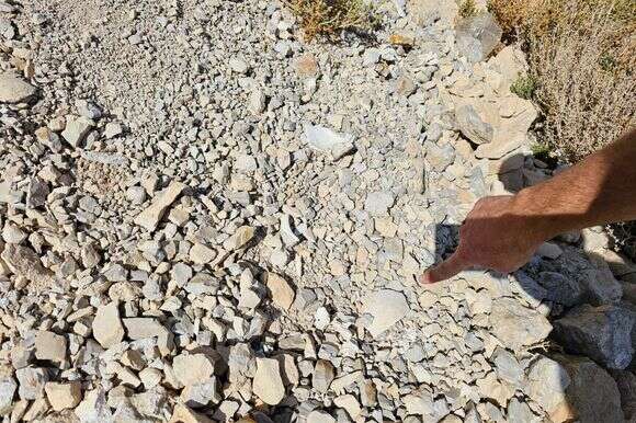 השחתה באתר ארמונות החשמונאים | דוברות בנימין