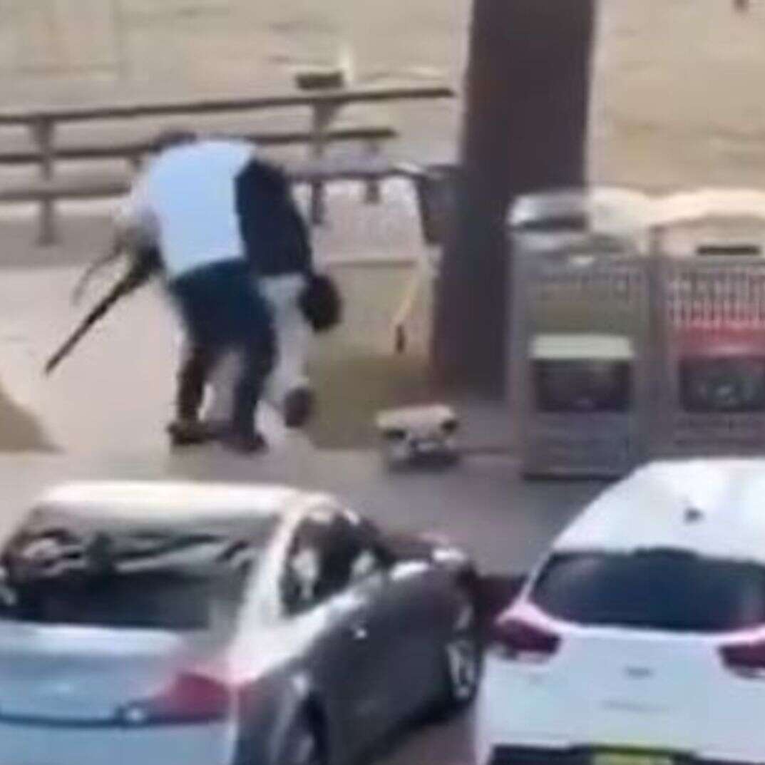 השתלטות על היורה באוסטרליה | צילום מסך השתלטות על היורה באוסטרליה | צילום מסך