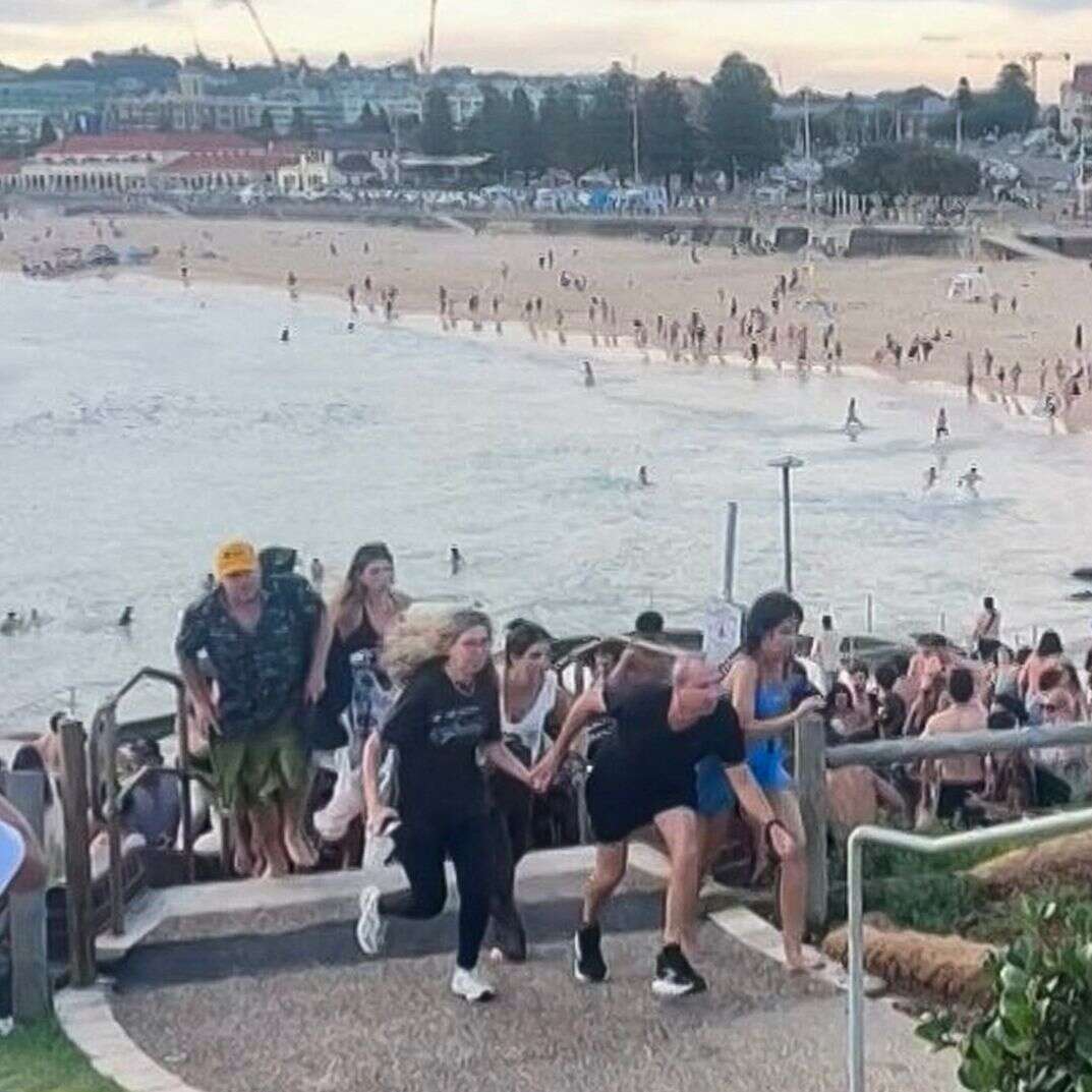 פיגוע הטרור במסיבת חנוכה בסידני | Mike Ortiz / UGC / AFP פיגוע הטרור במסיבת חנוכה בסידני | Mike Ortiz / UGC / AFP