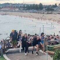 פיגוע הטרור במסיבת חנוכה בסידני | Mike Ortiz / UGC / AFP פיגוע הטרור במסיבת חנוכה בסידני | Mike Ortiz / UGC / AFP