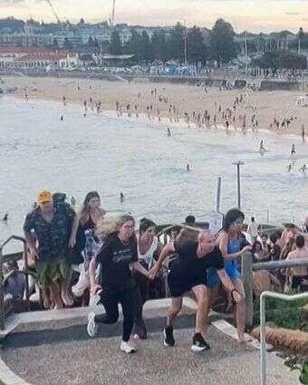 פיגוע הטרור במסיבת חנוכה בסידני | Mike Ortiz / UGC / AFP פיגוע הטרור במסיבת חנוכה בסידני | Mike Ortiz / UGC / AFP