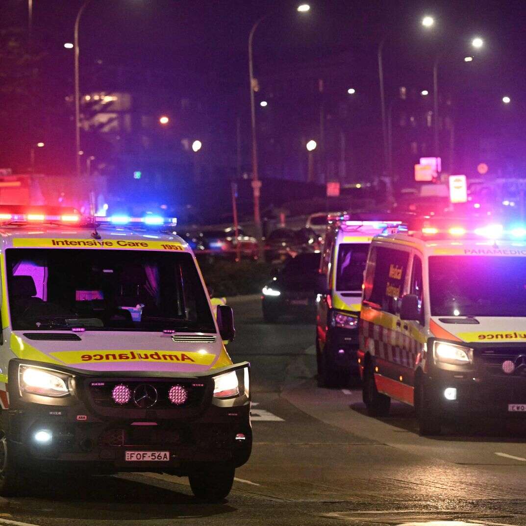 בפיגוע הירי בחנוכה באוסטרליה | AFP בפיגוע הירי בחנוכה באוסטרליה | AFP