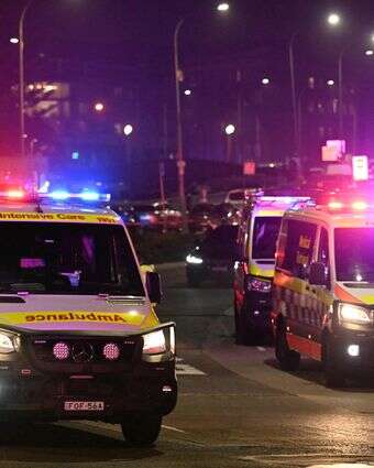 פיגוע הירי בחנוכה באוסטרליה | AFP