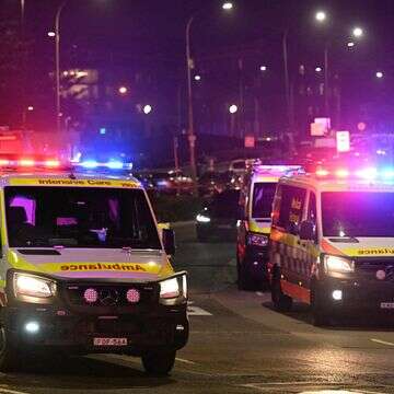 פיגוע הירי בחנוכה באוסטרליה | AFP