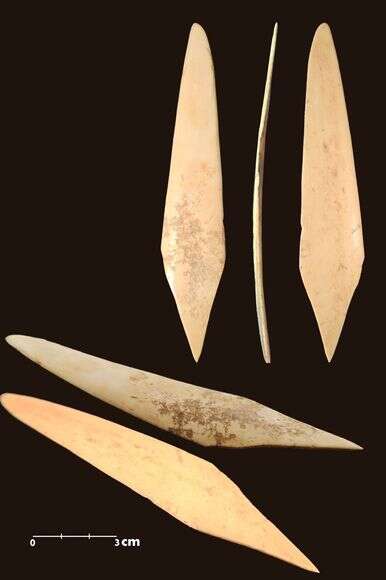 כלי כתיבה מהתקופה החשמונאית שנמצא באתר נבי סמואל | דוברות מתפ"ש כלי כתיבה מהתקופה החשמונאית שנמצא באתר נבי סמואל | דוברות מתפ"ש