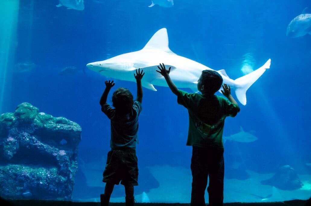 חנוכה מחוץ לבית: 20 פעילויות שלא תרצו לפספס השנה