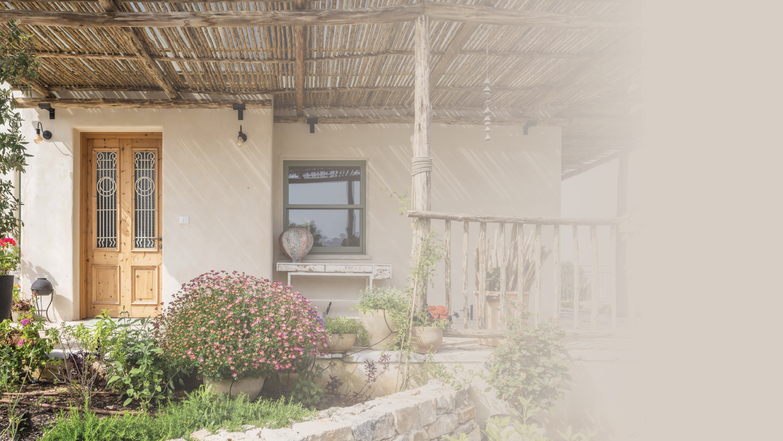 נמרוד לוי נמרוד לוי