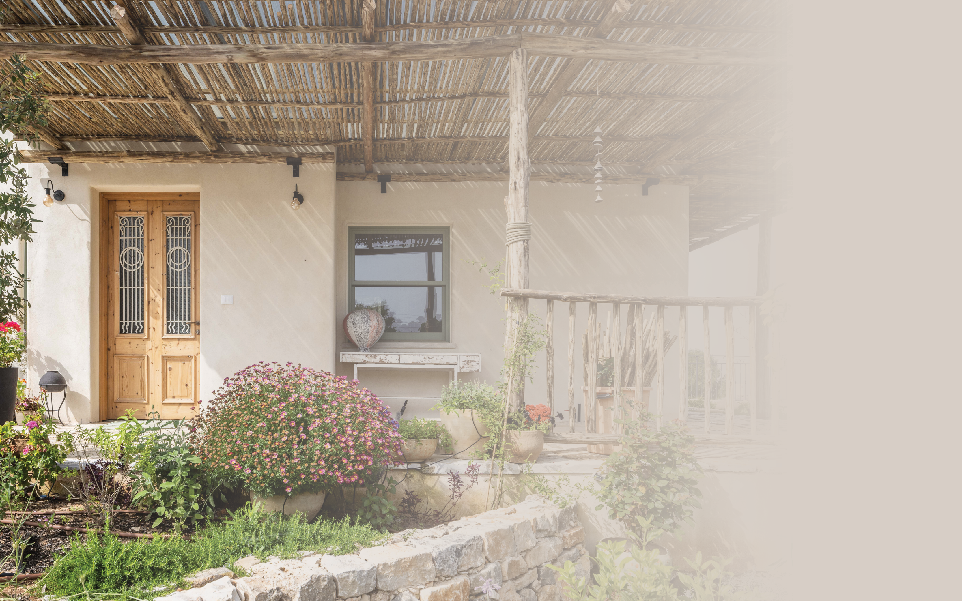 נמרוד לוי נמרוד לוי