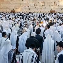 ברכת הכהנים בכותל | יעל גויסקי אבס ברכת הכהנים בכותל | יעל גויסקי אבס