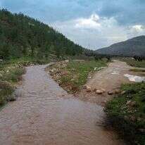 נחל חילזון | מישל דוט קום