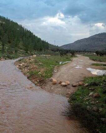נחל חילזון | מישל דוט קום