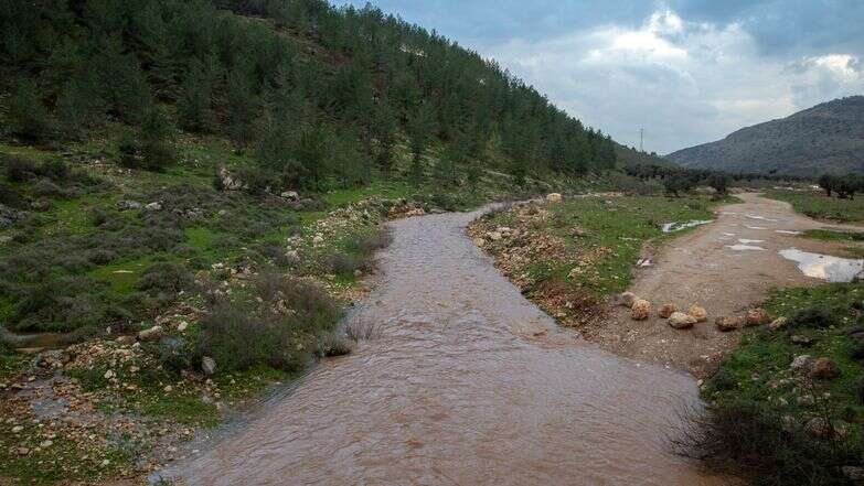 נחל חילזון | מישל דוט קום