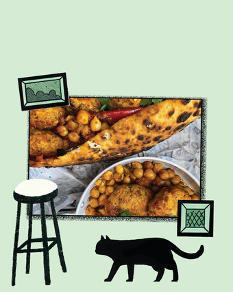 שיק או שוק חתוליות | יח"צ שיק או שוק חתוליות | יח"צ