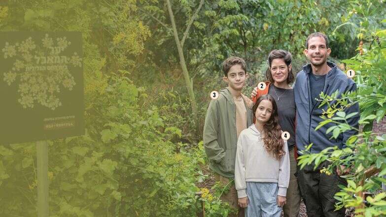 נדלן משפחת בצר | אביטל הירש