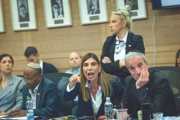 חברי הכנסת 
והקצינים 
לשעבר אלעזר 
שטרן ושרון ניר בישיבת ועדת החוץ והביטחון בתחילת החודש | יונתן זינדל, פלאש 90