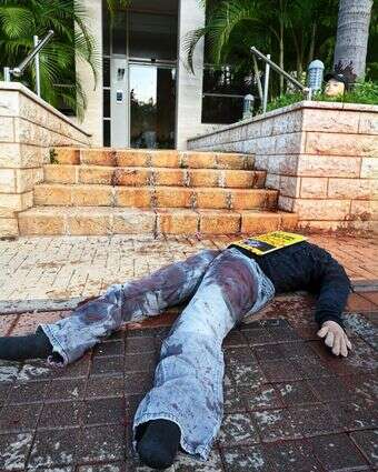 אחת מבובות המיצג | מאיה לוין