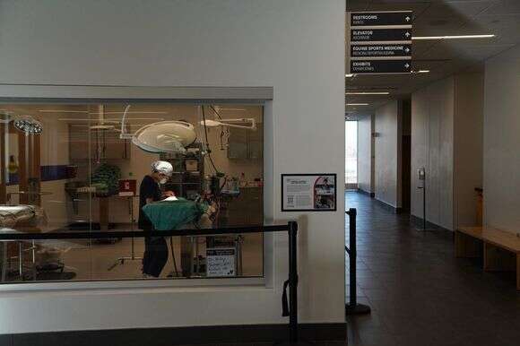 וטרינר עובד על בעל חיים בבניין המחומם ומקורר על ידי מערכת להשבת חום ממי שפכים | AP/בריטני פיטרסון