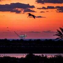 מבט על מאגר הגז לוויתן בזמן שקיעה | דור פזואלו / פלאש 90