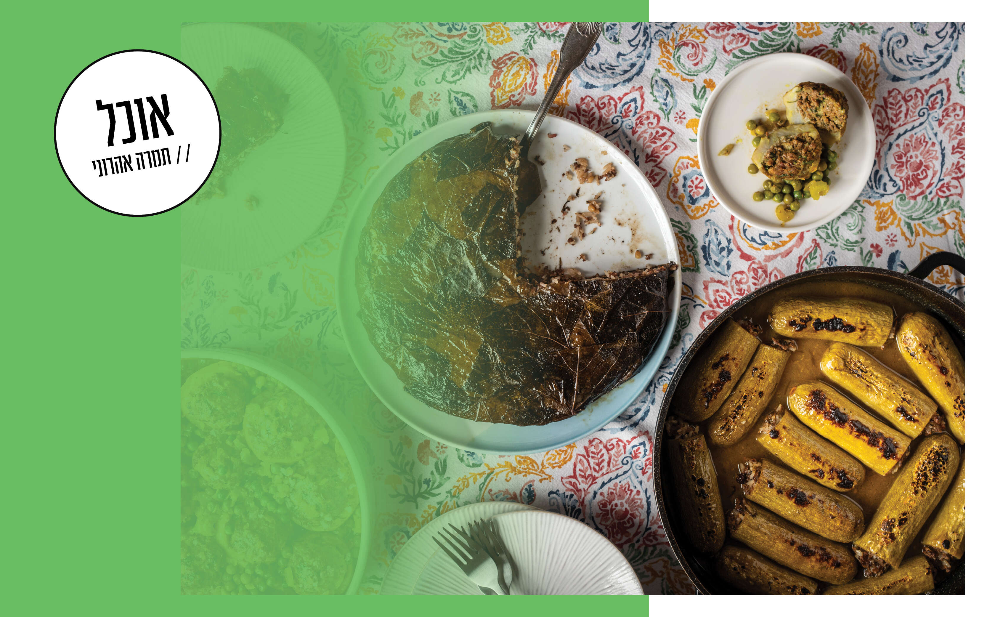 מלא אהבה | גיא אשכנזי, Karela Agency