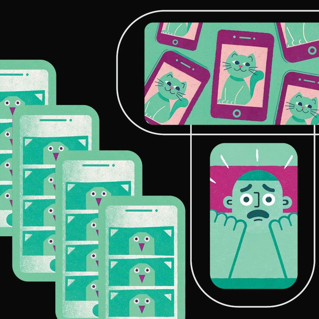 מחילת הארנב של טיקטוק | ללא