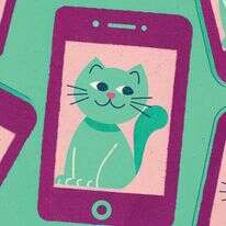 מחילת הארנב של טיקטוק דף הבית | ללא