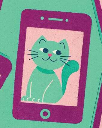 מחילת הארנב של טיקטוק דף הבית | ללא