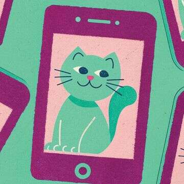 מחילת הארנב של טיקטוק דף הבית | ללא