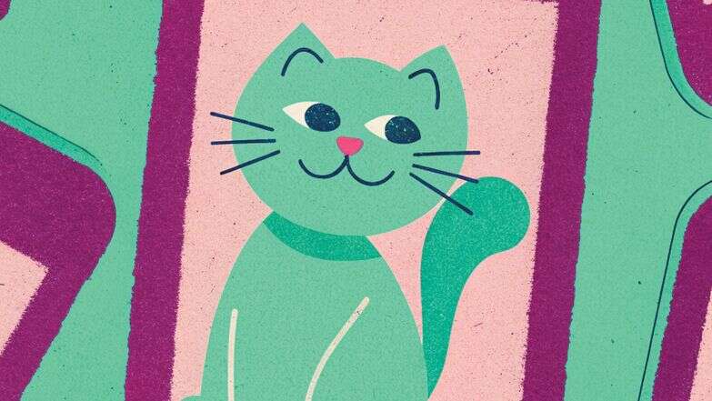 מחילת הארנב של טיקטוק דף הבית | ללא