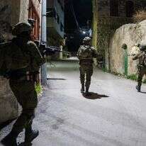 כוחות צה"ל בסילת א-דאהר שבשומרון | דובר צה"ל