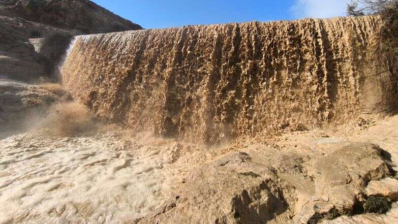 נחל ממשית, ליד דימונה | צילום: יאיר קלייטמן נחל ממשית, ליד דימונה | צילום: יאיר קלייטמן