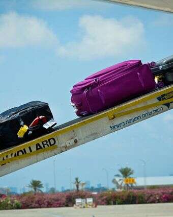 הוצאת מזוודות ממטוס בנמל התעופה בן גוריון | משה שי/Flash90