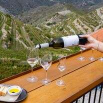 ין מוגש במסעדה המשקיפה על הגבעות ליד עיר החוף פאפוס, בצד היווני של קפריסין. | נתי שוחט FLASH90