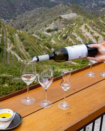 ין מוגש במסעדה המשקיפה על הגבעות ליד עיר החוף פאפוס, בצד היווני של קפריסין. | נתי שוחט FLASH90