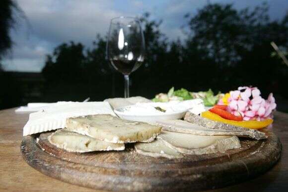 יין וגבינות במסעדת בנטל | מרים צחי