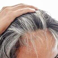 שיער שהולך ומלבין לו | שאטרסטוק