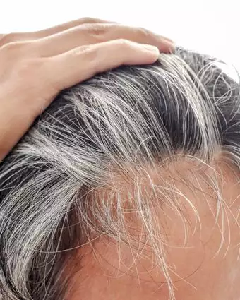 שיער שהולך ומלבין לו | שאטרסטוק