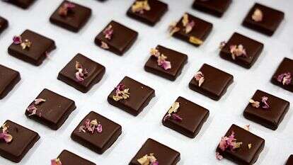 שוקולד עם עלי כותרת של ורדים | EPA/סבסטיאן נוגייר