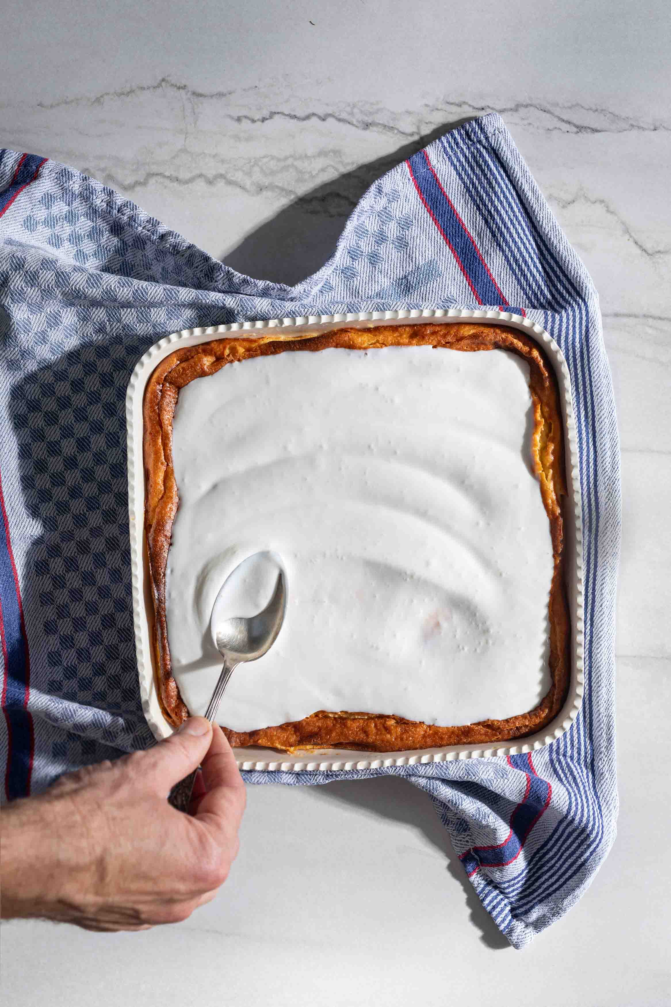 עוגת גבינה לשבת של בית מלון | דניאל לילה מתוך ספרו של תום פרנץ