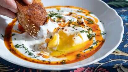 צ'ילבר תורכי | דניאל לילה מתוך ספרו של תום פרנץ צ'ילבר תורכי | דניאל לילה מתוך ספרו של תום פרנץ