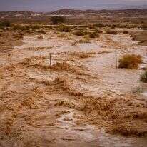 שיטפון בנגב | דוד כהן, פלאש 90 שיטפון בנגב | דוד כהן, פלאש 90