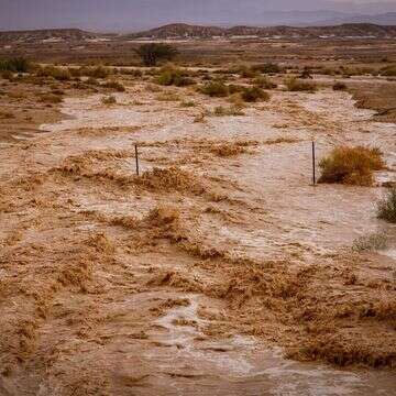 שיטפון בנגב | דוד כהן, פלאש 90
