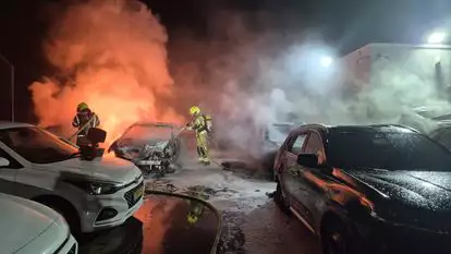 הרכבים השרופים בלהבים | צילום: כבאות והצלה לישראל הרכבים השרופים בלהבים | צילום: כבאות והצלה לישראל
