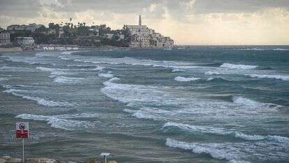 רצועת החוף בתל אביב | אבשלום ששוני, פלאש 90 רצועת החוף בתל אביב | אבשלום ששוני, פלאש 90