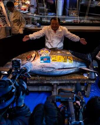 הטונה הזוכה | AP