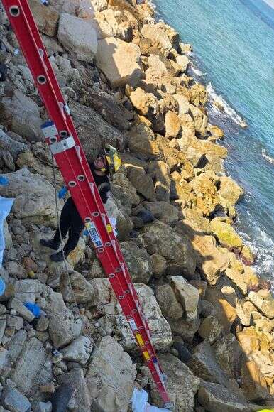 זירת מציאת הגופה בנמל יפו | כבאות